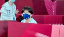 体育圈饭圈化 明星黑料,真相与偏见